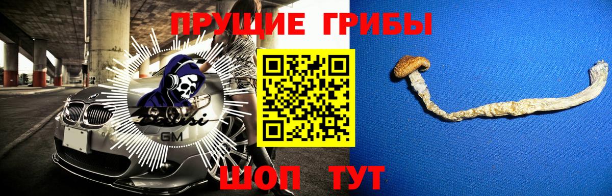 Геленджик  Псилоцибиновые грибы GOLDEN TEACHER  Вход с VPN 